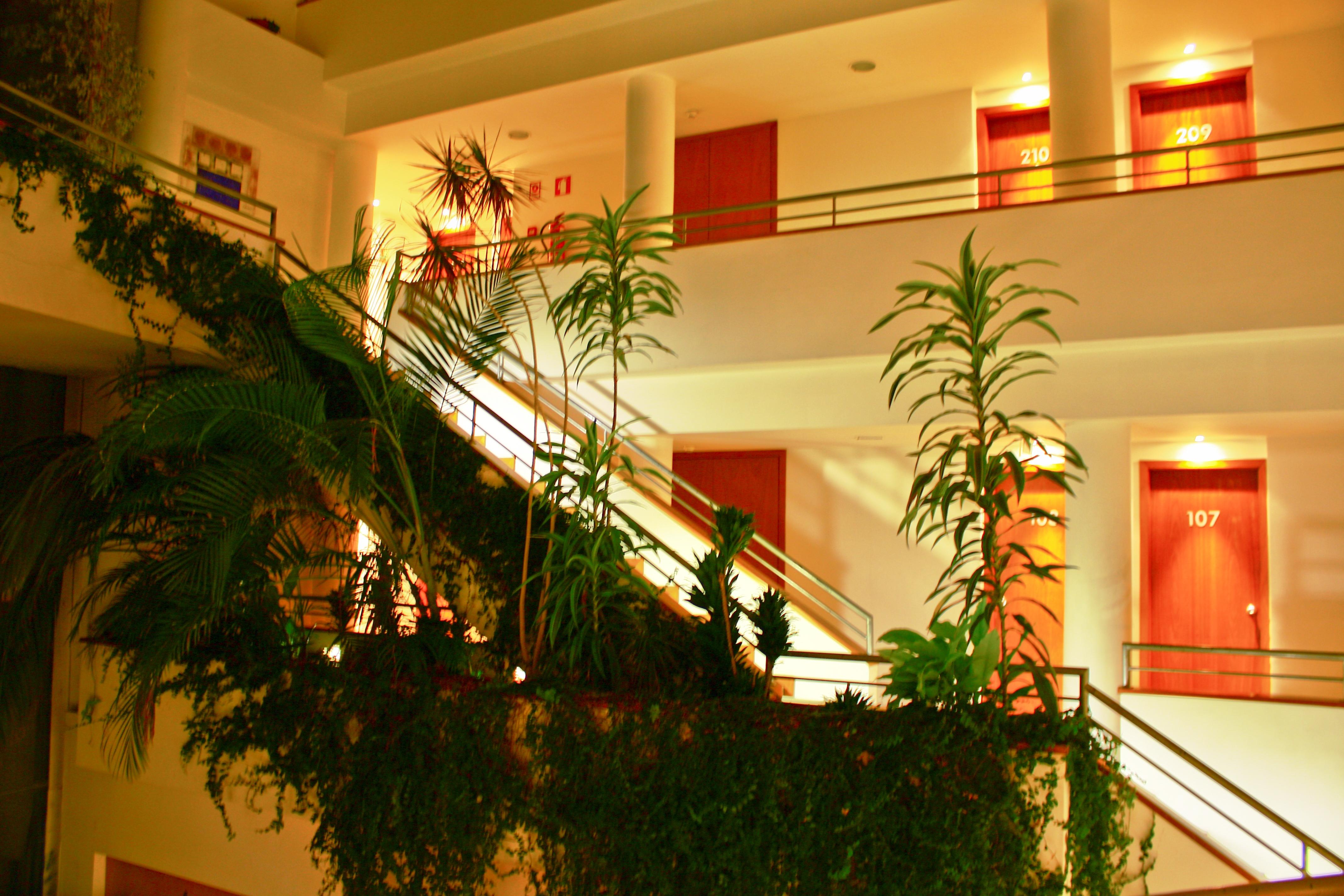 גימראייש Hotel Das Taipas מראה חיצוני תמונה